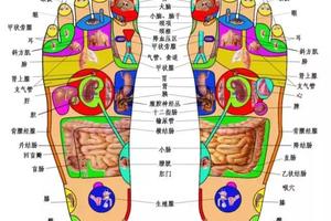 脚上有一组生命密码，一病一绝招，太难得了