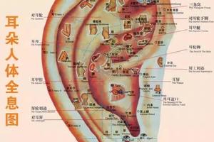 睡前捏捏“它”，越捏，疾病越少；越捏，身体越好