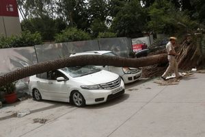 沙塵暴+雷雨 印度逾70死百傷