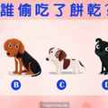  【心理測驗】猜哪隻狗偷吃了餅乾？測你異性緣好還是同性緣好?