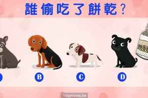  【心理測驗】猜哪隻狗偷吃了餅乾？測你異性緣好還是同性緣好?