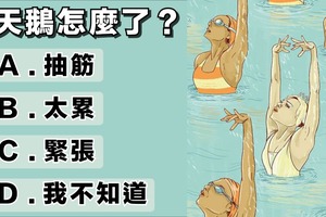 嚇！白天鵝怎麼了？測你的大腦判斷力有多強？