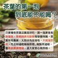 破迷思　茶葉的第一泡到底能不能喝？