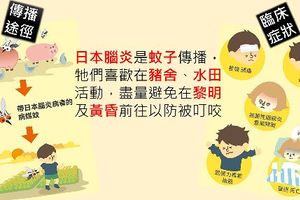 當心蚊子！今年日本腦炎首例來了　致死率達30％