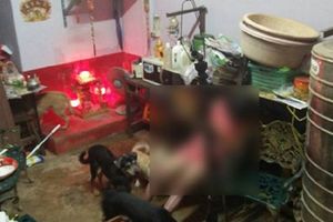 女主人疑觸電亡 10忠犬守護圍繞讓人鼻酸