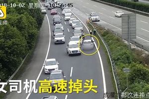 高速公路掉頭釀大塞車 女：走錯路了