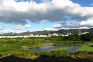 郊區新熱點 木棧道藏都市祕境