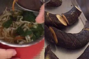 孩子在學校都吃什麼?  3歲兒常肚痛，一查竟是學校給吃爛食!