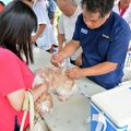 屏縣響應928世界狂犬病日 256株疫苗免費施打