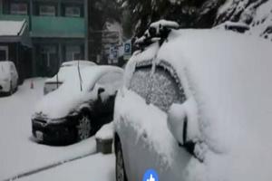 玉山合歡山持續降雪冰封 合歡積雪十公分