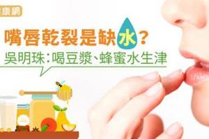 嘴唇乾裂是缺水？吳明珠：喝豆漿、蜂蜜水生津