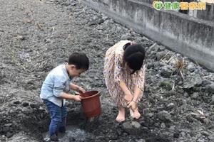 赤腳享受地氣！　男童慘遭鉤蟲入侵