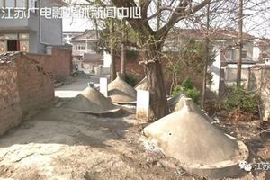 她家被19墳墓包圍 離屋僅50公分