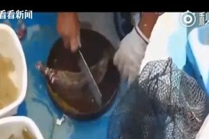 被細菌蛀到全空…男殺魚劃傷指甲　手臂驚見成群「黑洞」