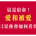 愛，與被愛，十二星座會如何選擇！你覺得哪一種才是最幸福呢！