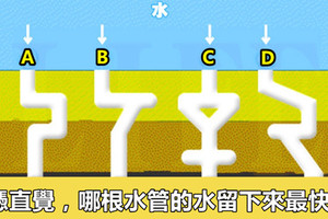 哪根水管的水流下來最快？測你有什麼驚人天賦！