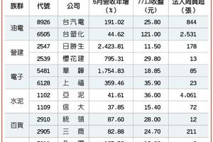 6族群12個股 上月營收大爆發