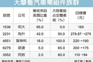 大摩看汽車零件組族群