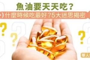 魚油要天天吃？什麼時候吃最好？5大迷思揭密