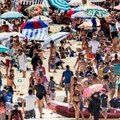 雪梨高溫攝氏47.3度　破79年來紀錄