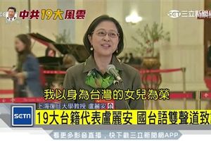 「以身為中國人為傲！」盧麗安遭起底　爺曾攔車救日本國旗