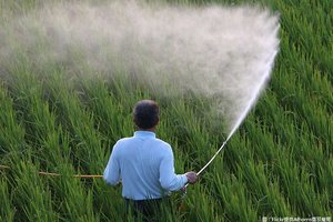 為護食安！農糧署嚴查農藥殘留 沒通過不准賣