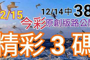 12/15 金彩539 原創版路分享 12/14 中 38 免費公開 精選三碼  三中一 會合請用 拚連莊 ! !