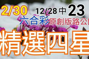 12/30 六合彩  原創雙拖版路分享 12/28中23 精選四星 新年快樂 ! !