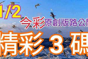 1/2 金彩539 原創版路分享 精選號碼 三中一 開新春領紅包 ! !