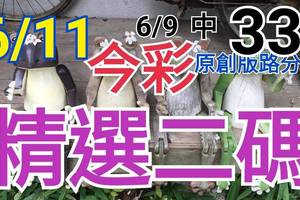 今彩539  6/11 精選二碼 6/9中33 二中一 請點圖看看 !