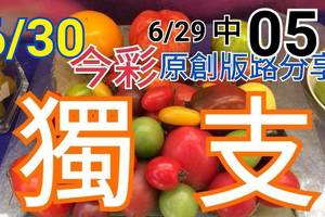 今彩539  6/30  獨支專車 6/29中05  請點圖看看  !