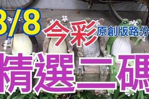 8/8 今彩539 精選二碼 二中一 請點圖看看 !