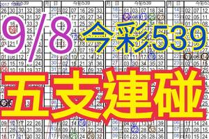 9/8 今彩539 自創版路 9/7中31.32 五支連碰 供您參考 !