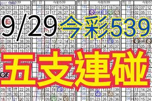 9/29 今彩539 自創版路 五支連碰 供您參考 !