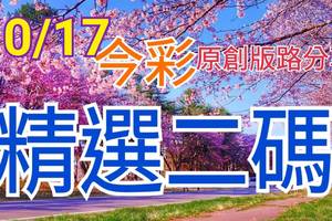 10/17 今彩539 精選二碼 二中一 請點圖看看 !