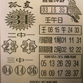 12月20-21日539（喜鵲神卦，八卦精選，版路精選尾數，二中一，三中一）參考看看。