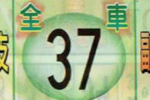 11月13日539（全車，主副支，拼3.4星，最強尾數）參考看看。