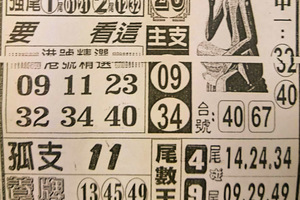 12月21日六合彩（不出牌，孤支王，尾數王，版路三中一）參考看看。