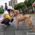 認養代替撲殺　歡迎民眾與毛小孩在平鎮新勢公園共渡週末