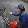 寒流發威農漁民損失慘　產險業啟動快速理賠  原文網址: 寒流發威農漁民損失慘　產險業啟動快速理賠