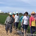 二期稻作收購價低　陳亭妃：盡速制訂合理收購價格機制