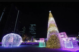 耶誕浪漫燈海不只日本有　泰國「百萬顆LED」點亮黑夜超浪漫