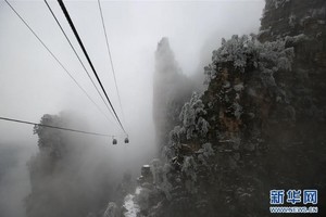 大陸14億人2017年夯「森林旅遊」　創造1兆人民幣產值