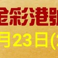 %金彩港號% 六合彩 9月23日多期版路號碼(2)