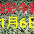 $金彩今彩$ 今彩539--11月6日加減版路號碼大公開