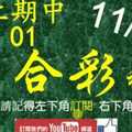 [六合彩神算] 11月16日 上期中01 3支 單號定位 雙號 拖牌