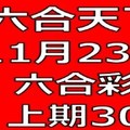 六合天下-11月23日六合彩號碼預測-上期30