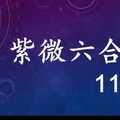 紫微六合彩 11月30日 單號定位,雙號拖牌版路獨家大公開