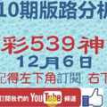 [今彩539神算] 12月6日 3支 10期版路分析