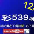 [今彩539神算] 12月7日 5支 單號定位 雙號 拖牌